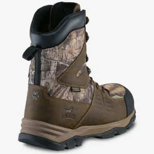 Irish Setter Hiking & Hunting^Terrain - 2715