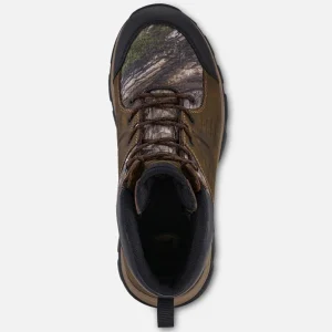Irish Setter Hiking & Hunting^Terrain - 2713