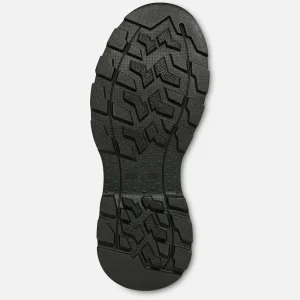 Irish Setter Hiking & Hunting^Terrain - 2713