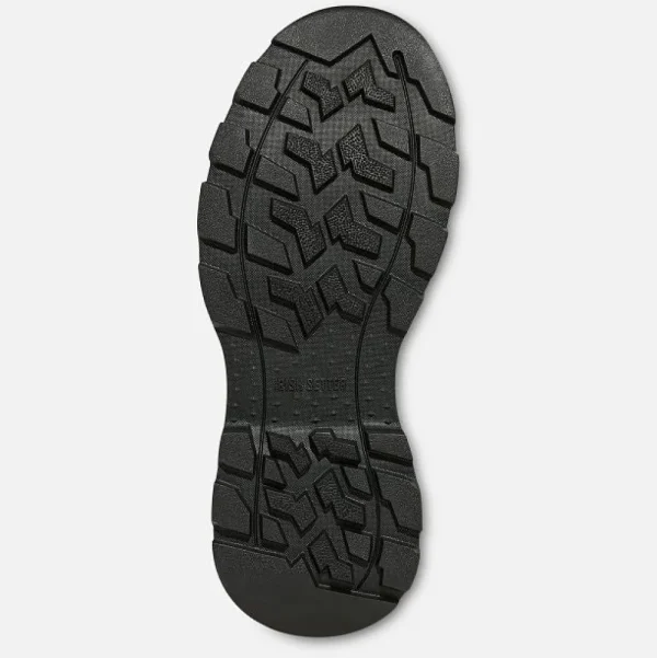 Irish Setter Hiking & Hunting^Terrain - 2713